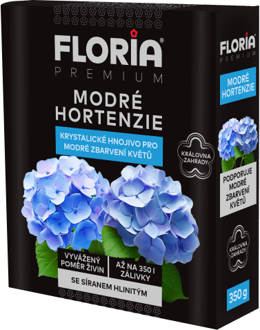 MODRÉ HORTENZIE